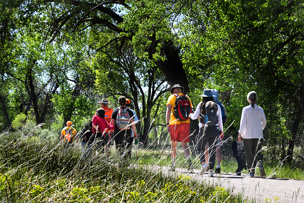 Group of walkers on trail through trees